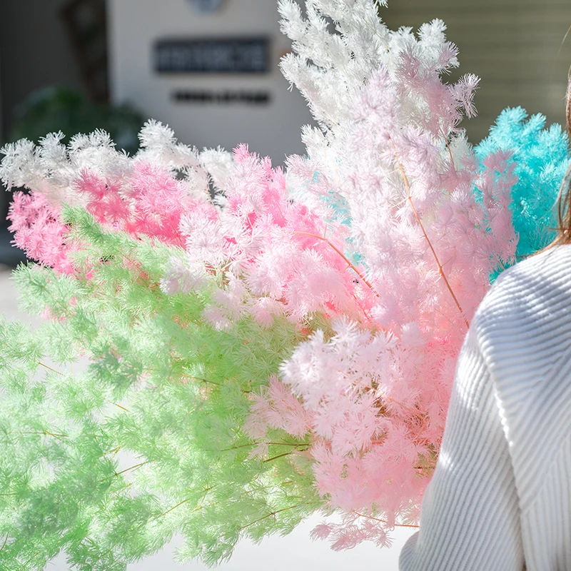 wholesale New Arrival Natural Everlasting Flowers Preserved Asparagus myrioeladus For Home Decoration