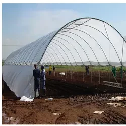 Sainpoly Heavy commercial greenhouse 4 season For Agricultural Blueberry Strawberry Farming Tunnel Greenhouse