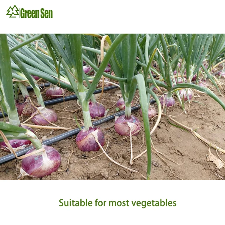 16mm Agricultural Drip Irrigation Tape PE Tube 1 Hectare Irrigation System Kit For Farmland Watering