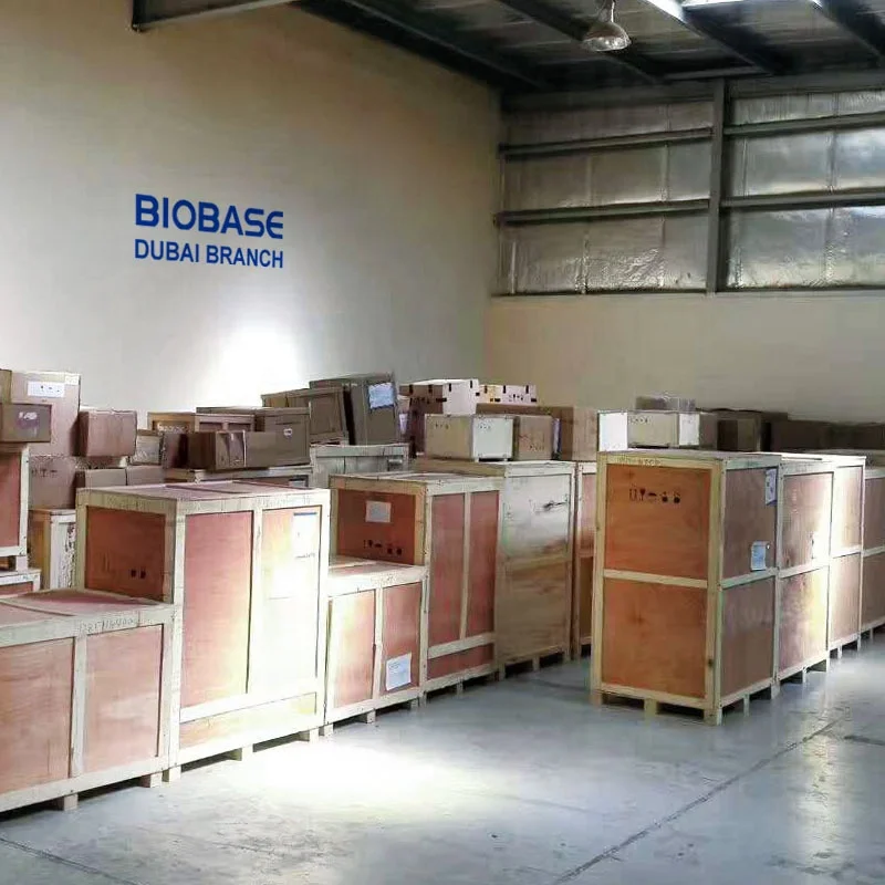 BIOBASE Hot Air Sterilizer BJPX-SH55 Circulating Drying Oven for laboratory 55L discount factory price