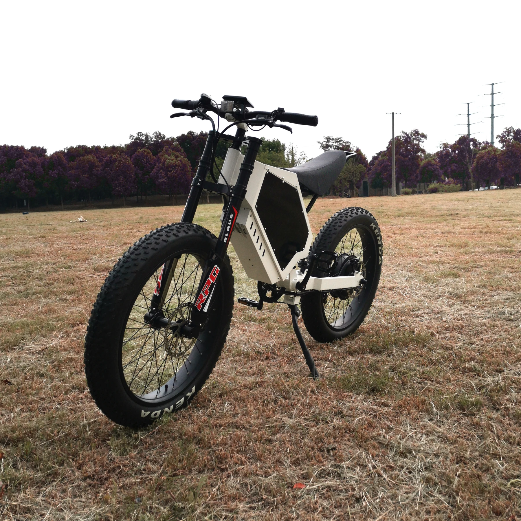 Более 100 миль на доступном электрическом велосипеде 8000 Вт с программированным контроллером regan brake