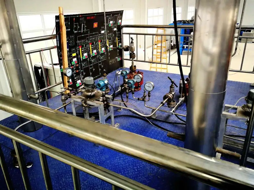 Professional  Supercritical co2  Birch Oil Extraction Machine with refrigerator