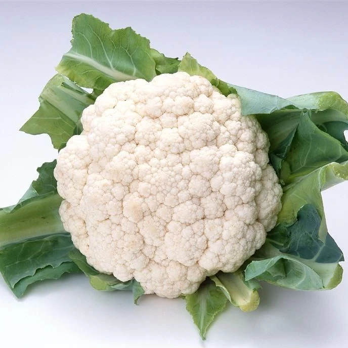 High grade fresh vegetables  natural   fresh Cauliflower for food
