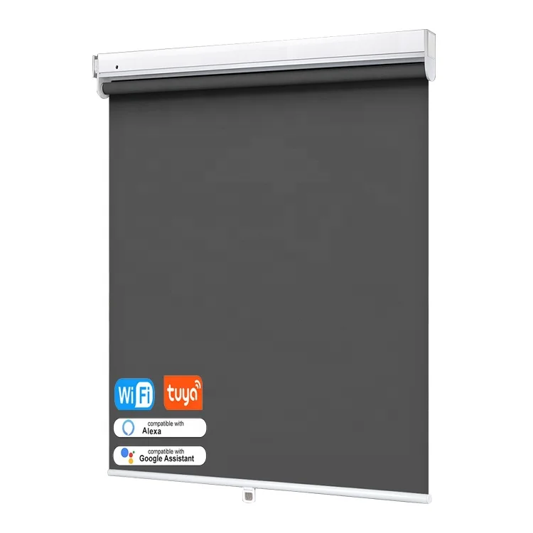 Wholesale wifi smart Tuya alexa voice electric curtains motor roller blind shutters tubu external remote control roller blinds