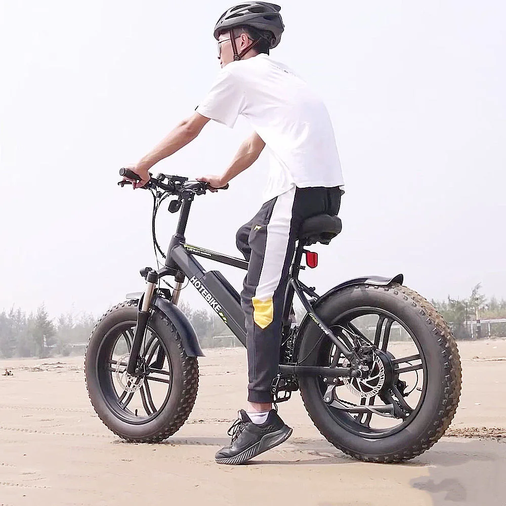 20 Inch Electric Hybrid Bike Off Road Electric Fat Tire Bike 500W 750W 1000W Motor Power Electric Mountain Bike