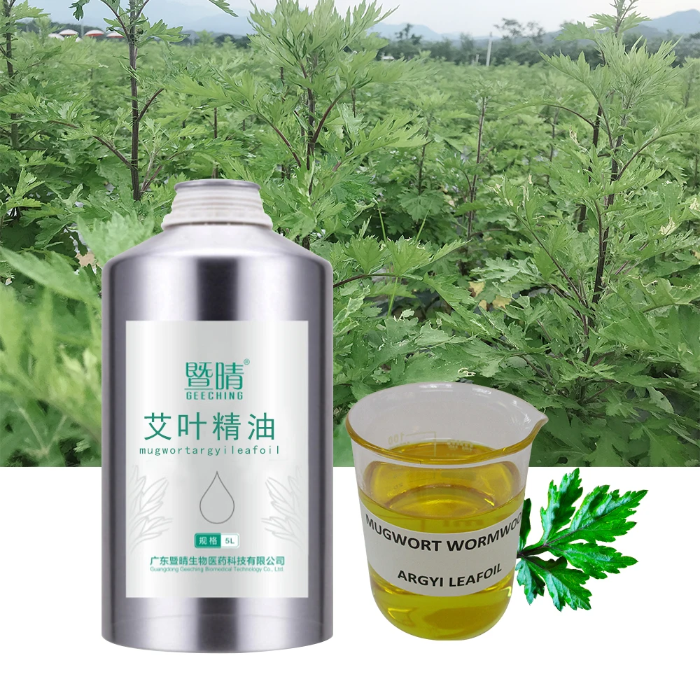 
capillaris CAS 8008-93-3 artemisia argyi leaves essential mugwort wormwood extract oil 