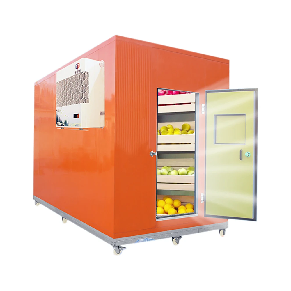 Cold Storage Rooms Walk In Freezer Mobile Container Cold Room Refrigerator Equipment for Vegetables Fruits