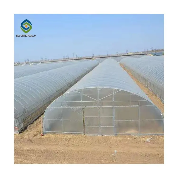 Galvanized steel frame luxury geodesic dome tunnel greenhouse greenhouse manufacturers used for sale
