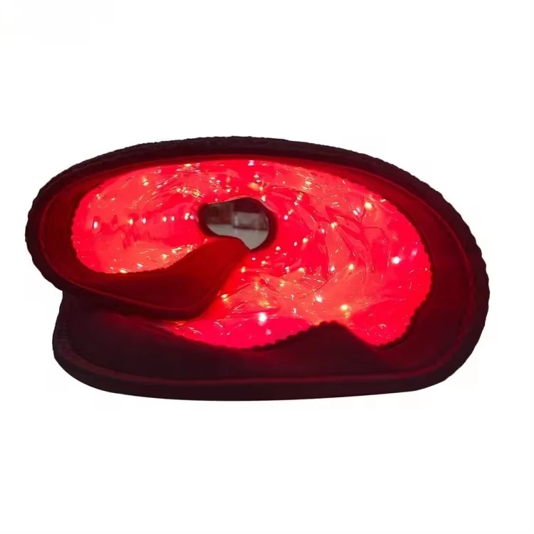 Australian Brumby Horse Dressage Horse Body Therapy Led Lamp