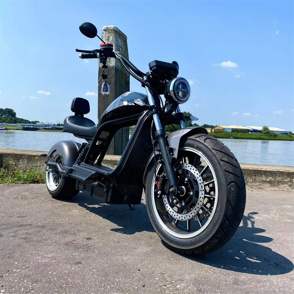 Welcome To Inquiry Price Fat Tire Citycoco 2 Wheel Lightweight Mini Harleyment Electric Scooter