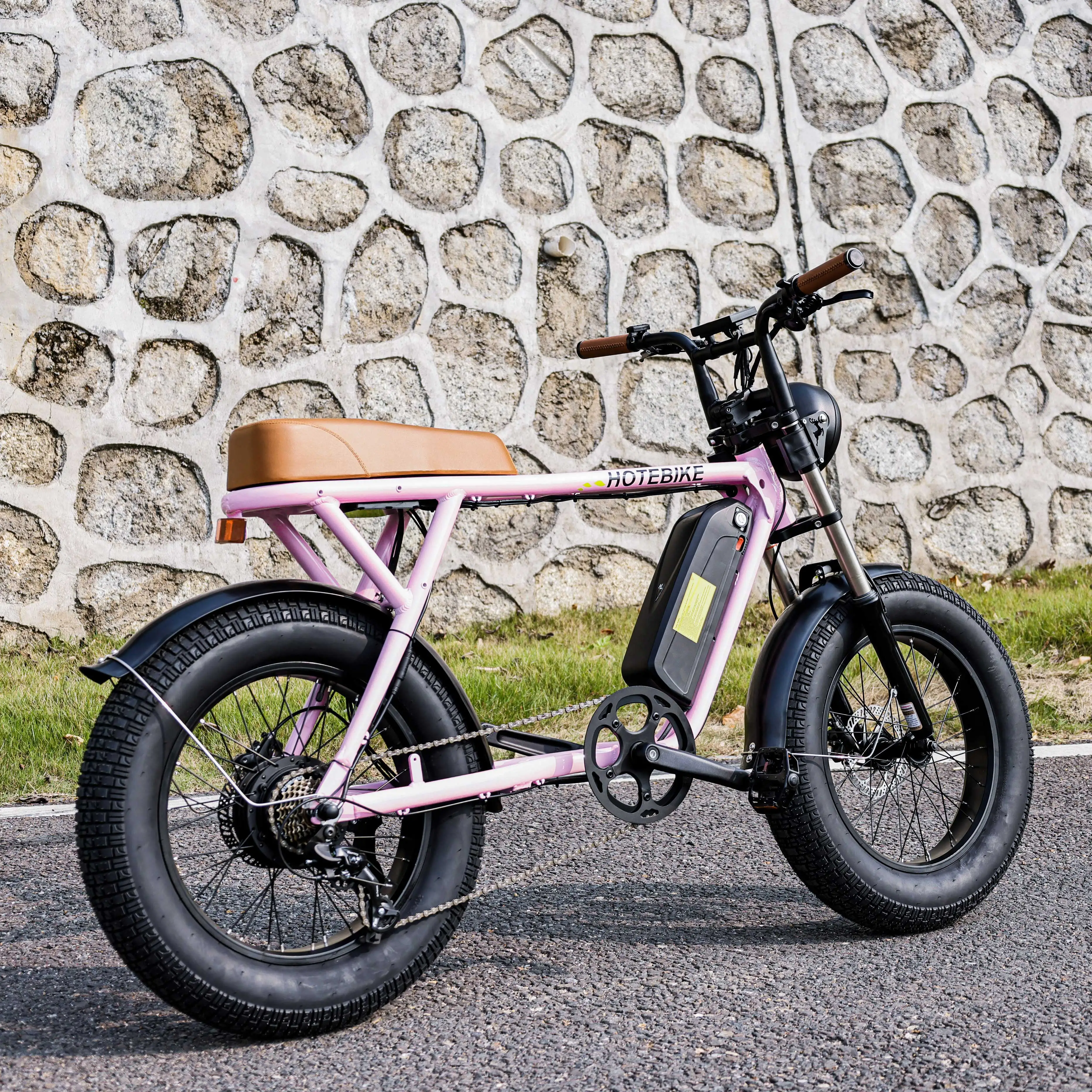 New Design Super New Power Electric Bike 2 Seat Electric Bike 48V 500W Optional 73