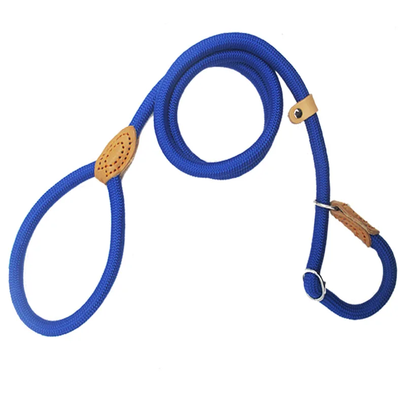 Wholesale Durable Nylon Soft Dog Slip Rope Leash Dog Slip Training Lead
