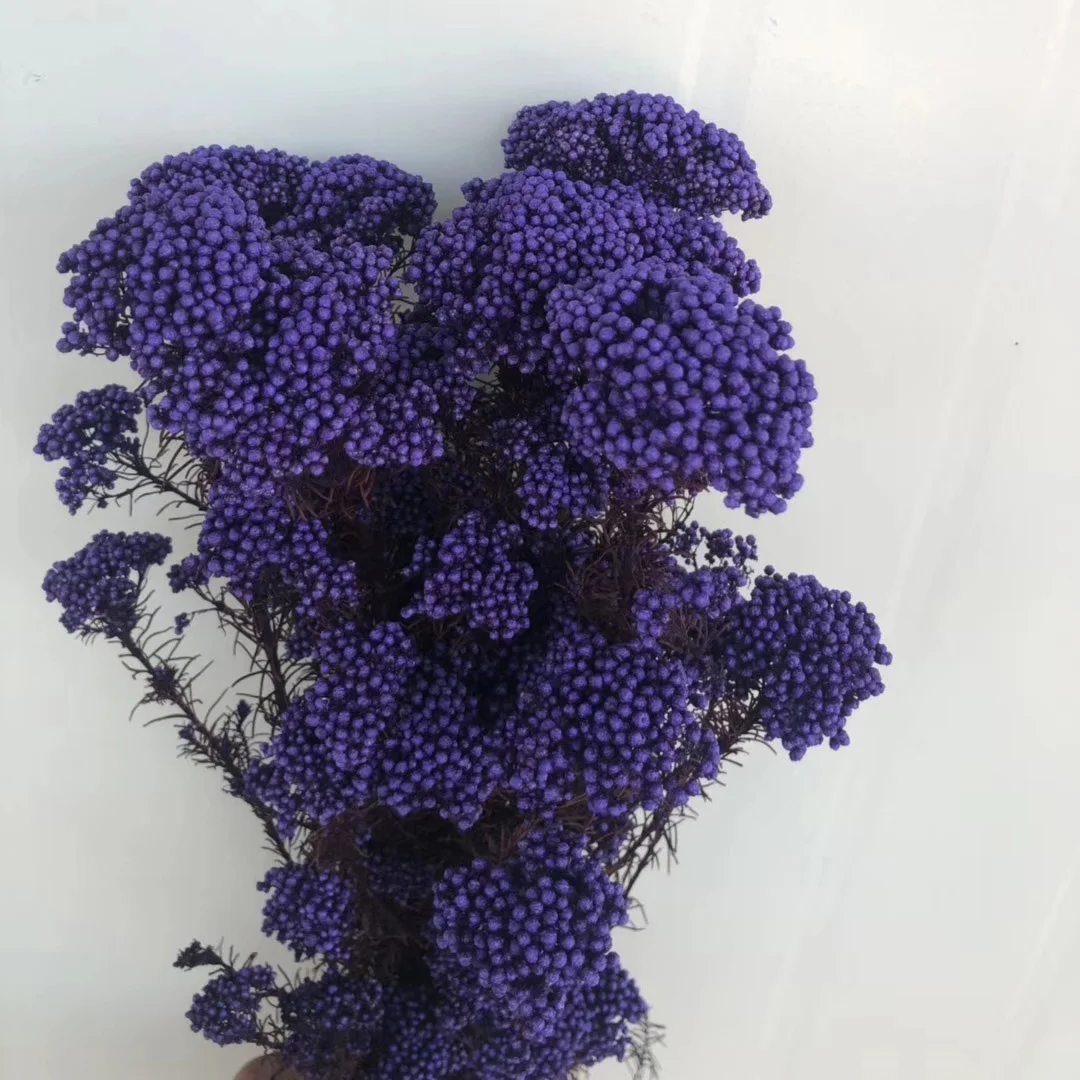 Dry Rice flower preserved millet flower bouquet wholesale