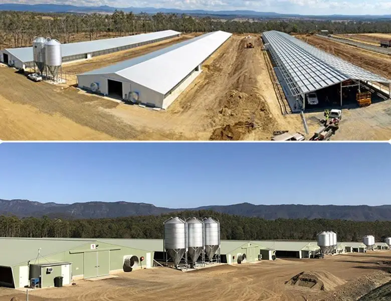 Бычья ферма строительная легкая стальная конструкция строительный камень