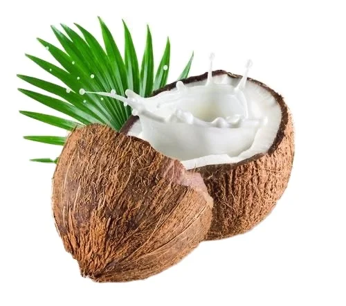 Whosale Coconut Oil Custummize Essential Oil Natural Oil Organic 100% Argan Coconut Jojoba Rosehip Grape Seed Almond.