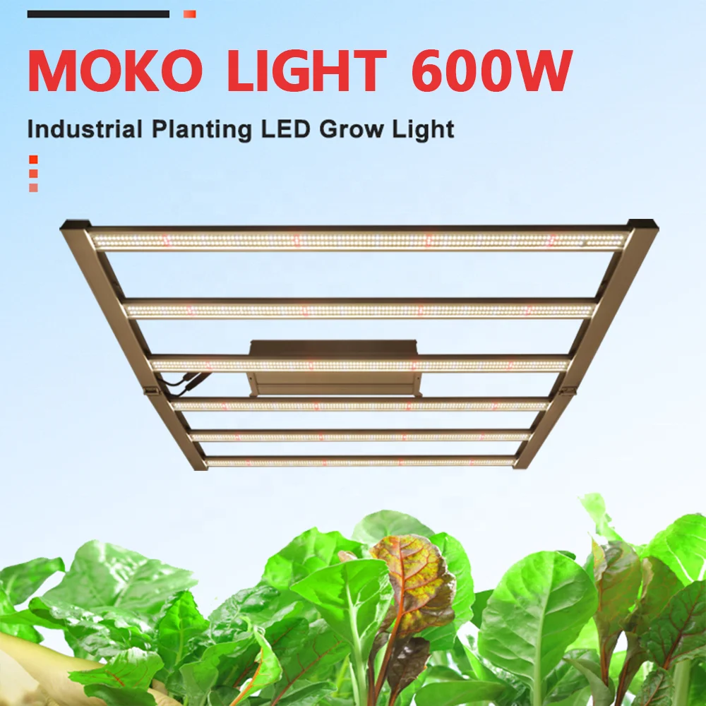 Shenzhen Led Grow Light Customized 600w Grow Lights Full spectrum LED Grow Lights for Indoor Plants Growing Flower Stage Seeds