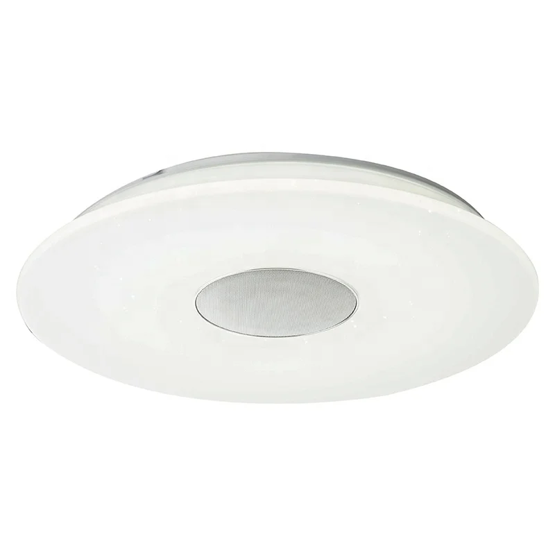 Smart 2.4G Remote Control Blue Tooth Music Speaker Round RGB CCT Adjustable Dimmable Lamp LED Acrylic Ceiling Light
