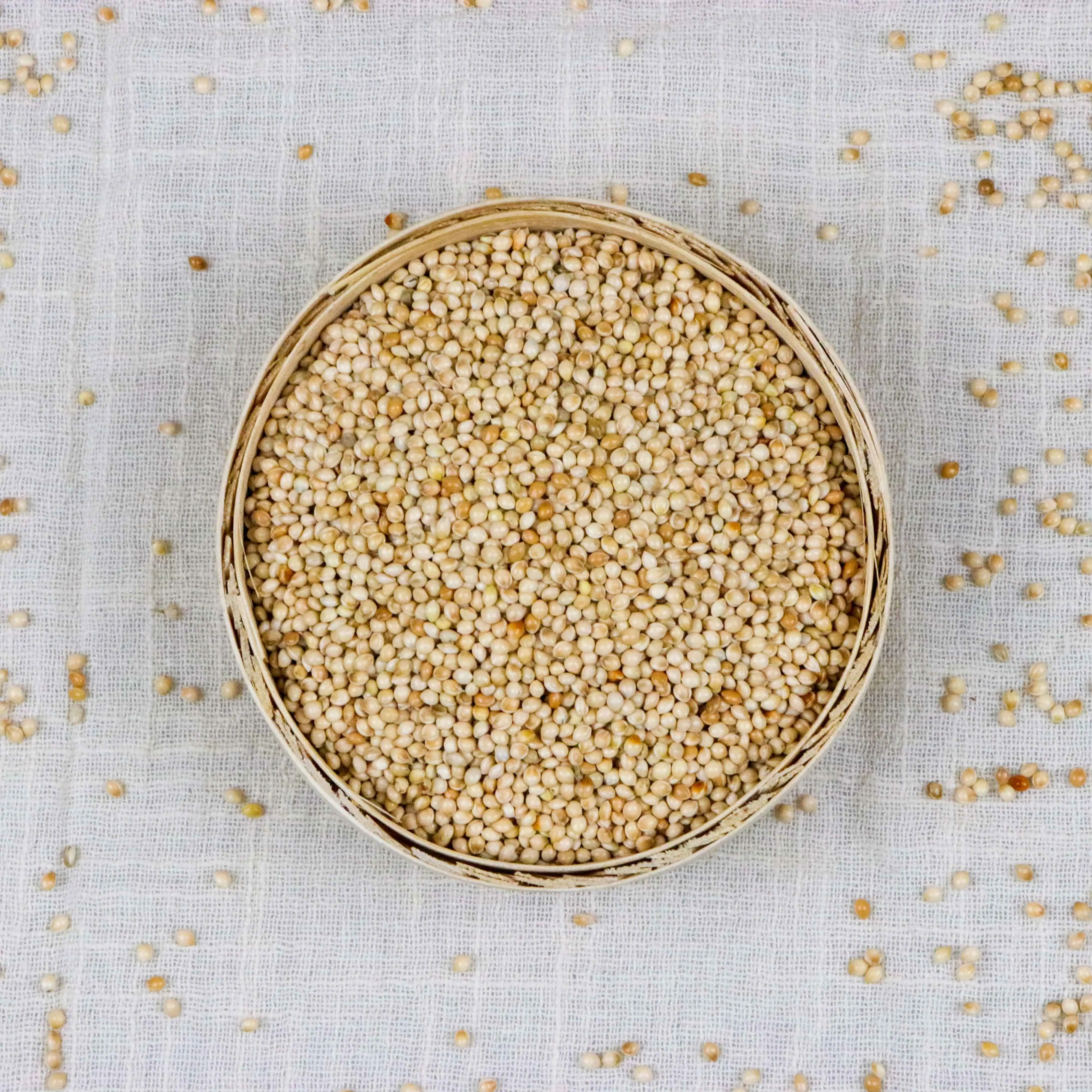 
white broom corn millet millet for bird feed 