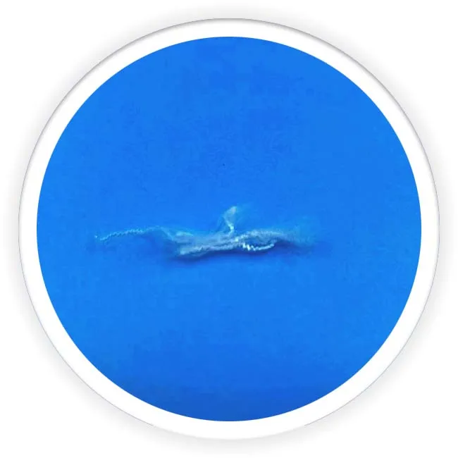 ECDP cationic dyeable polyester staple fiber