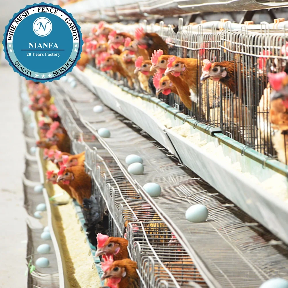 Guangzhou Thick Hot Galvanized Chicken Breeding Cage for Layer Chicken