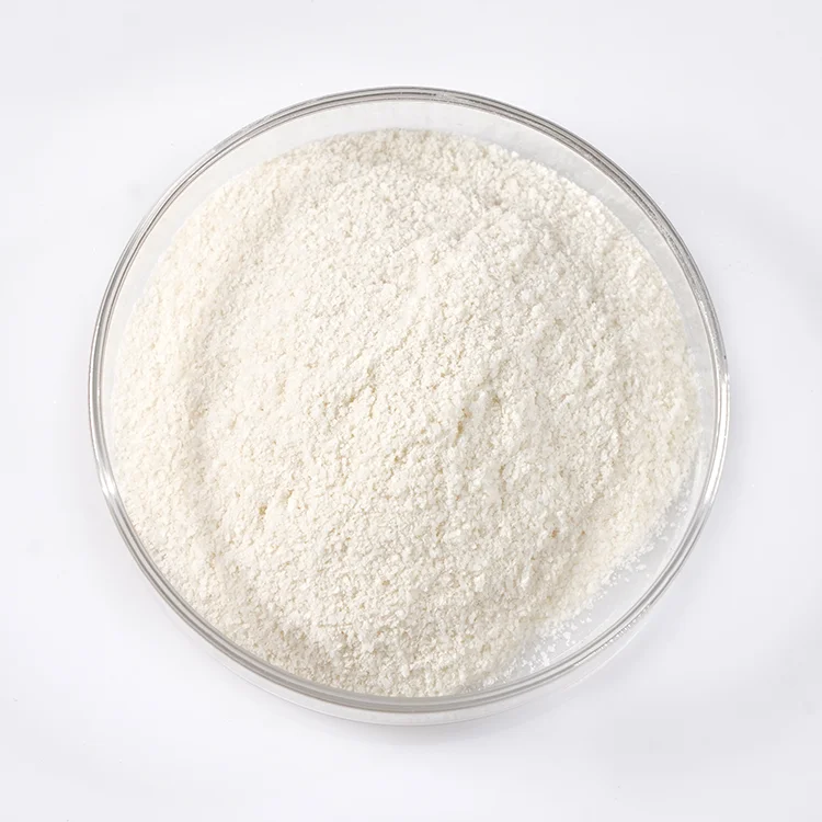 Food Grade 10% 15% 20% 6217-54-5 Dha Algae Oil Powder Omega 3 Bulk Algae Oil Docosahexaenoic Aicd Algae Dha Powder