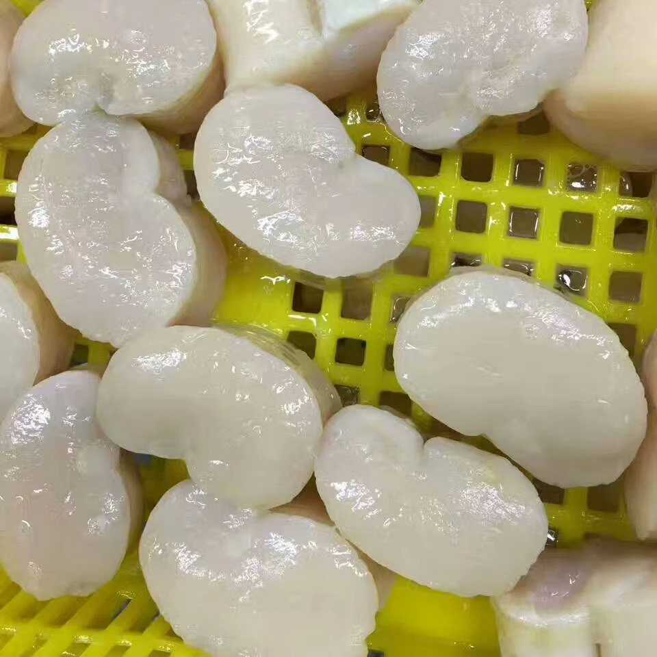 best seafood and dried scallop