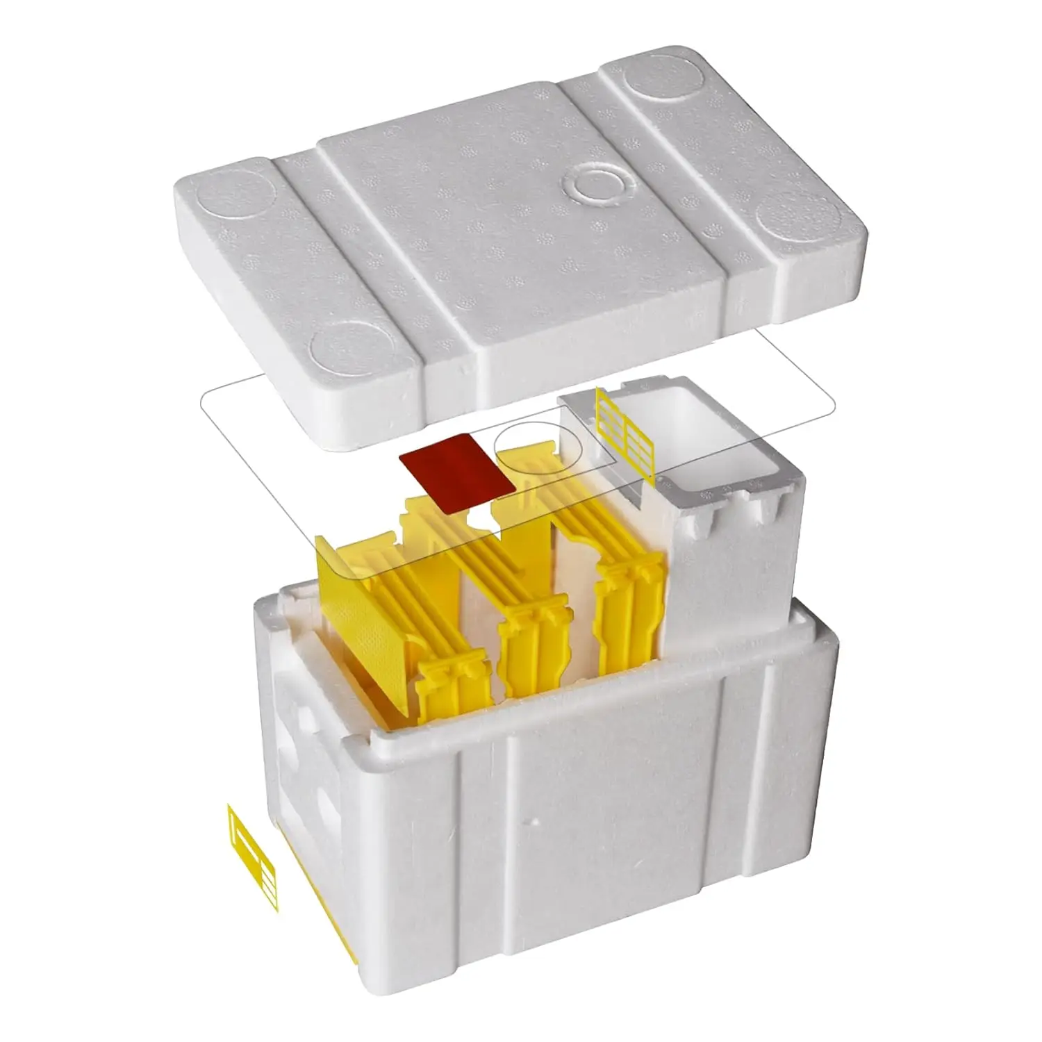 Beekeeping Tool Mini Beehive Foam Queen Rearing for Bee Mating Nuc Box Copulation