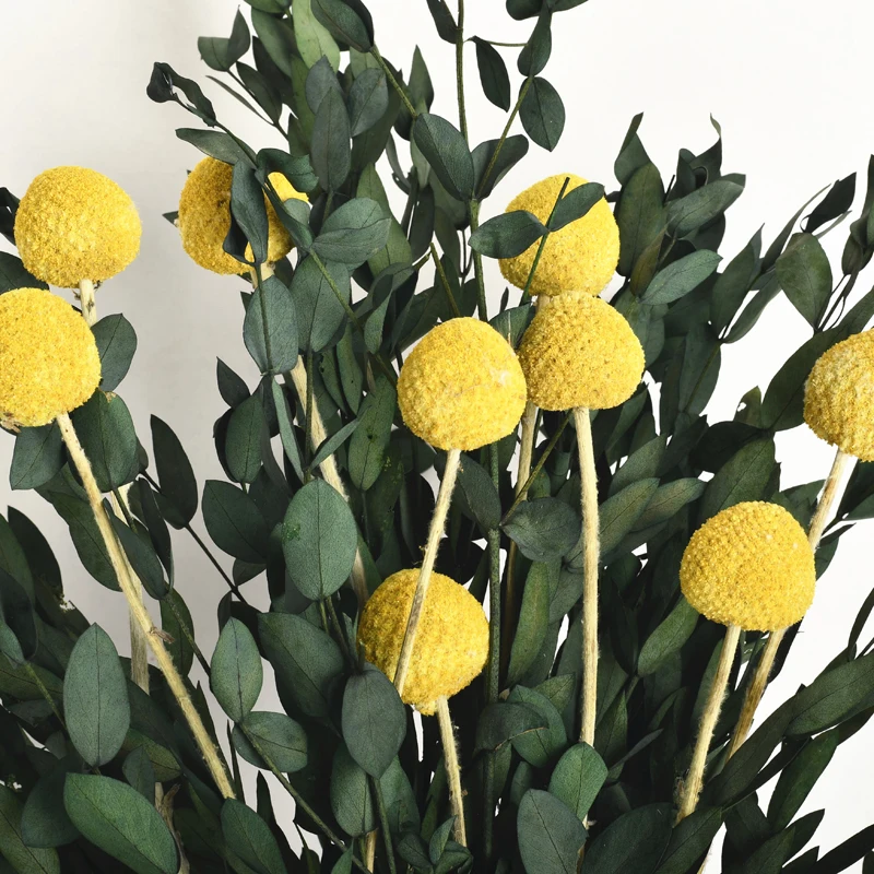 Amazon Top Seller Golden Ball Craspedia Eucalyptus Wedding Decoration Dried Flower Bouquet