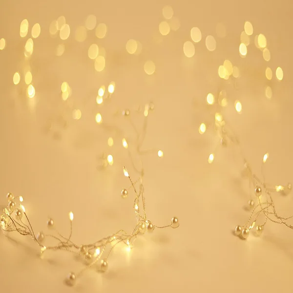 
Hot Sale Battery Box Power Supply Pearl Shape Christmas Lights String 
