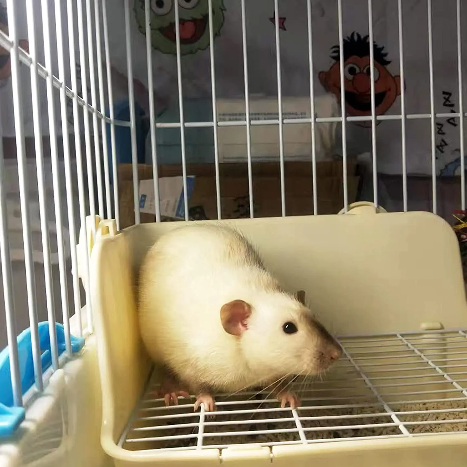 Bunny Litter Box with Grate Rabbit Corner Litter Pan  for Guinea Pig Ferrets Chinchilla