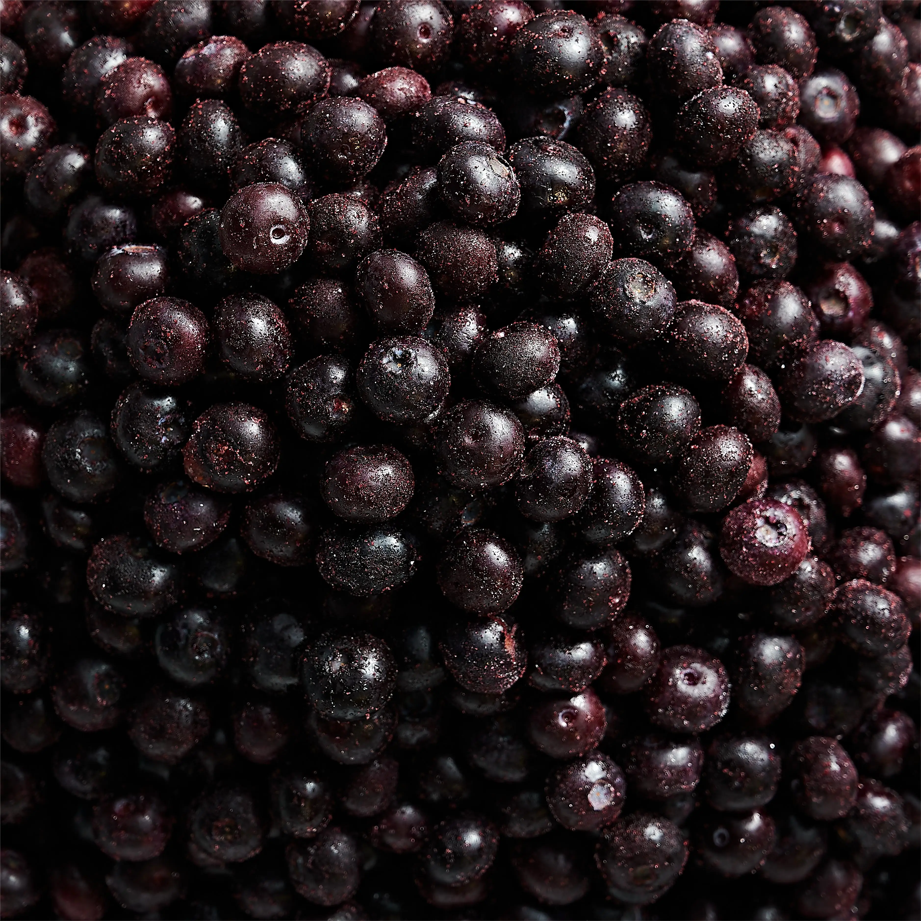 IQF factory direct export frozen blueberry wholesale frozen blueberry Wholesale Price 1kg Frozen Blueberry with BRC A