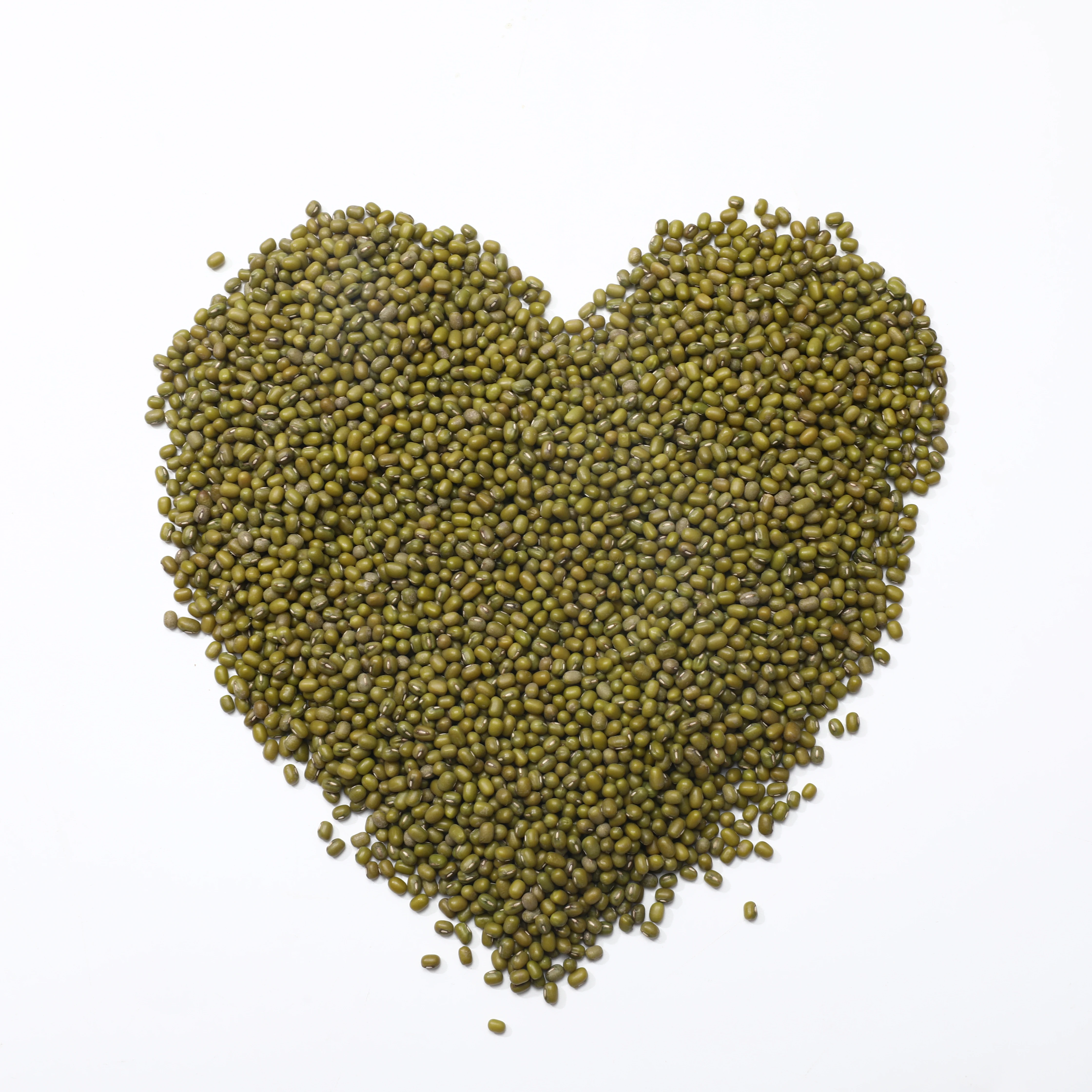 High quality food grade moong dal 25 or 50 kg beans natural  product green mung beans for food