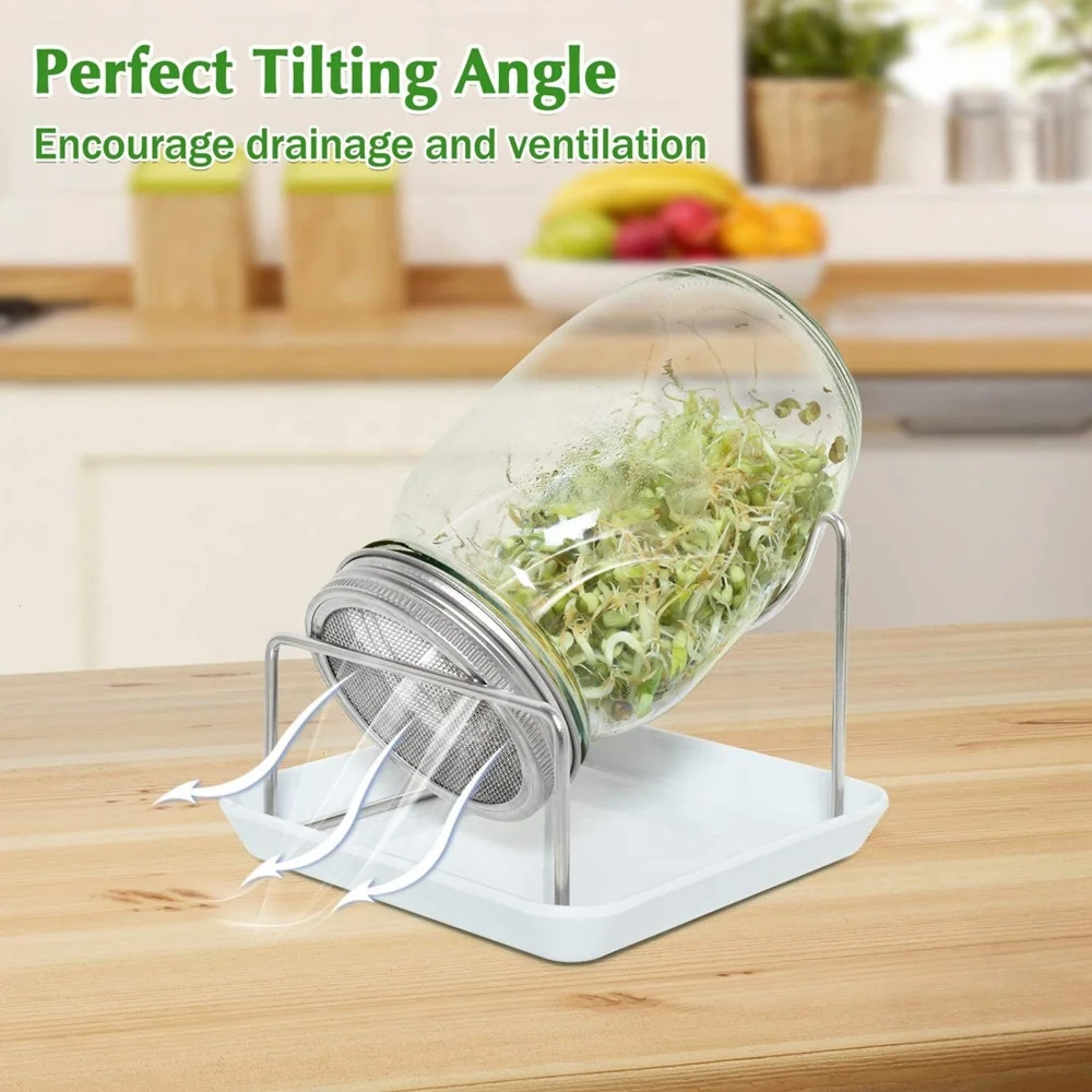 Wide Mouth Sprouting Jars with Screen Lids Stands and Trays