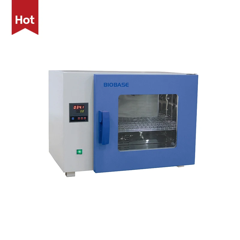 BIOBASE China Constant-Temperature Drying Oven laboratory hope and heating sausage drying ovens