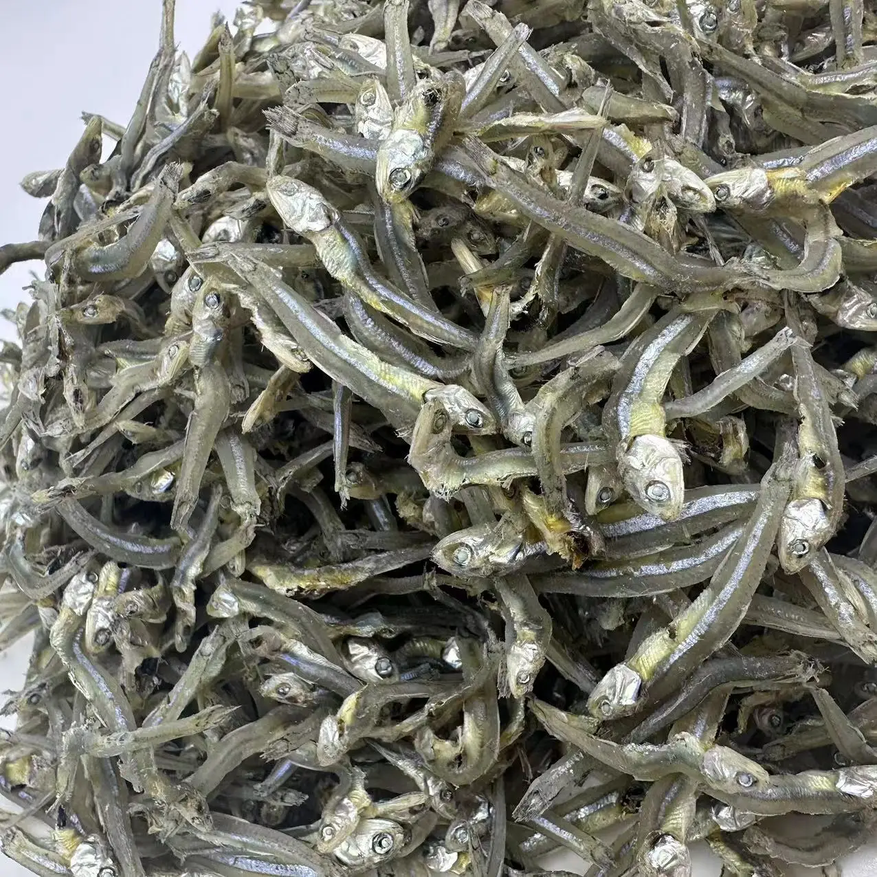 Dried wild Sardinella loniceps whole round with salt  Dried wild Sardine Fish