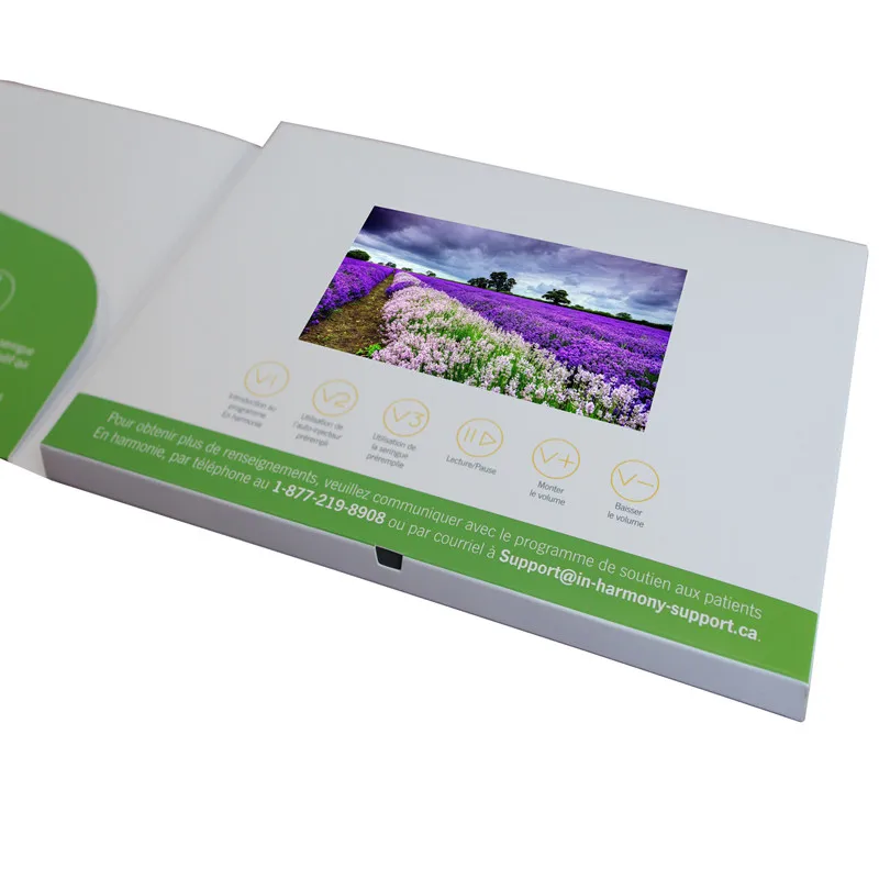 Китайская самодельная видеокарта, привлекательная видеокарта mp4 TFT, рекламный подарок