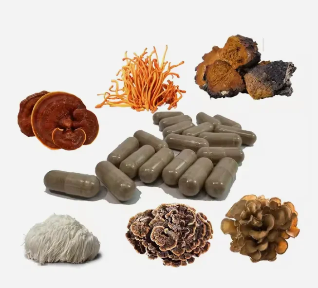 Wholesale Private Label oem odm mushroom mixed powder blend organic mushroom coffee powder complex