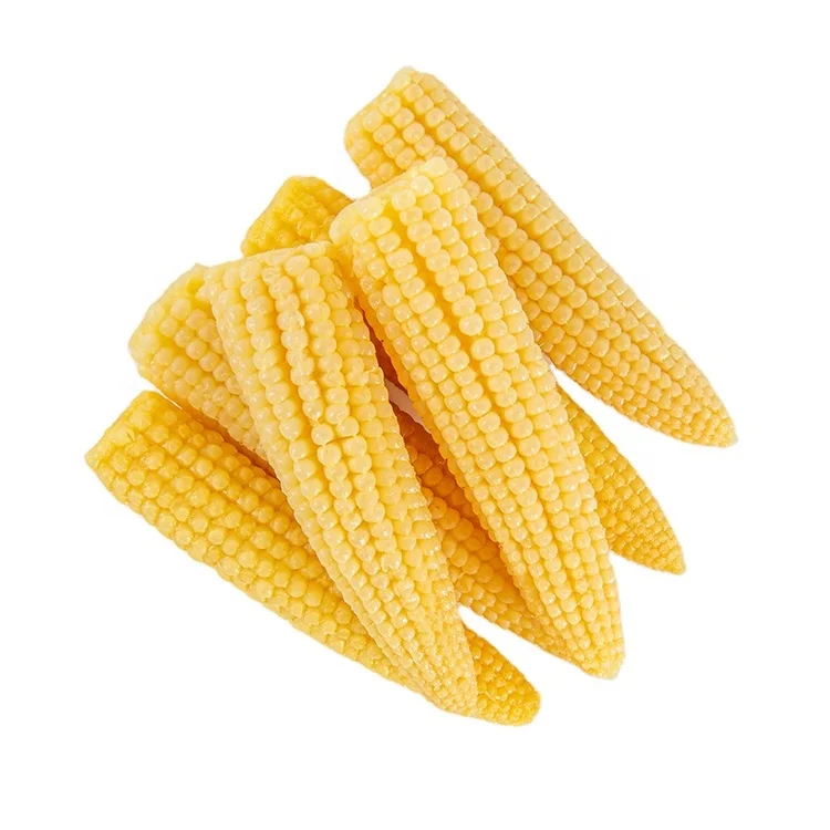 Cooking Dishes & Plates Hot Sale Nutritious Canned Baby Corn
