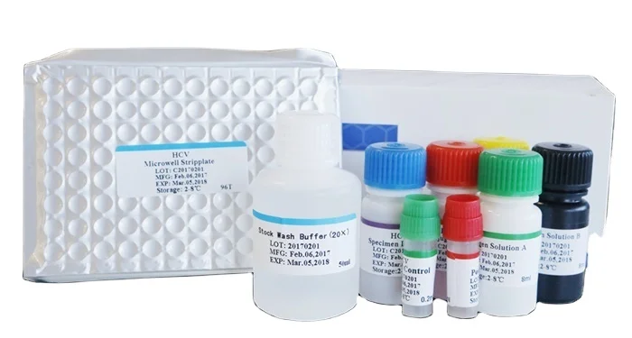 Biobase Manual Operation 96T Micro plate Elisa reagent kit AMH anti-Mullerian hormone for human serum