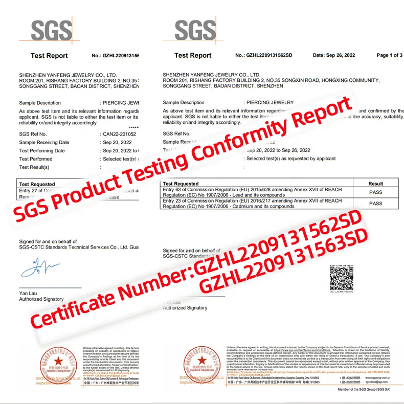 christmas gold korean stud  stainless steel statement hoop pearl fashion fine jewelry earrings women pouch set 2022