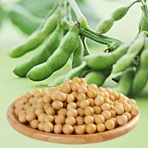 Свежая Органическая Бразилия Non-Gmo соя