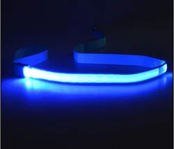 Wholesale New Product Lighting Walking Night Glowing USB Rechargeable LED Dog Leash