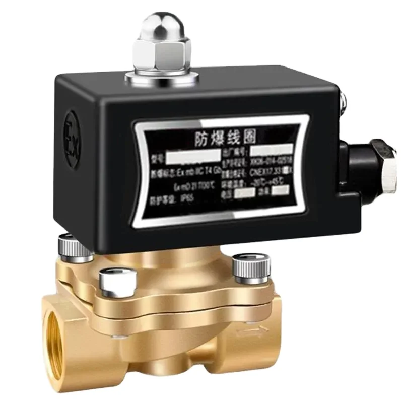 Valve Water Gas Oil Liquid Control Two Way Explosion Proof Solenoid Valve Normally Closed Electric Brass DC12V 24V AC110V 220V