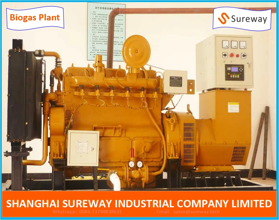 Биогазовая установка для Свиньи/коровы/птицефабрики