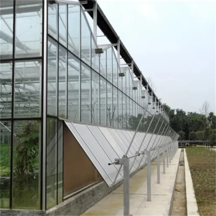 Tempered Glass Venlo Multi-Span Automatic Green House Commercial Hydroponics Glass Greenhouse