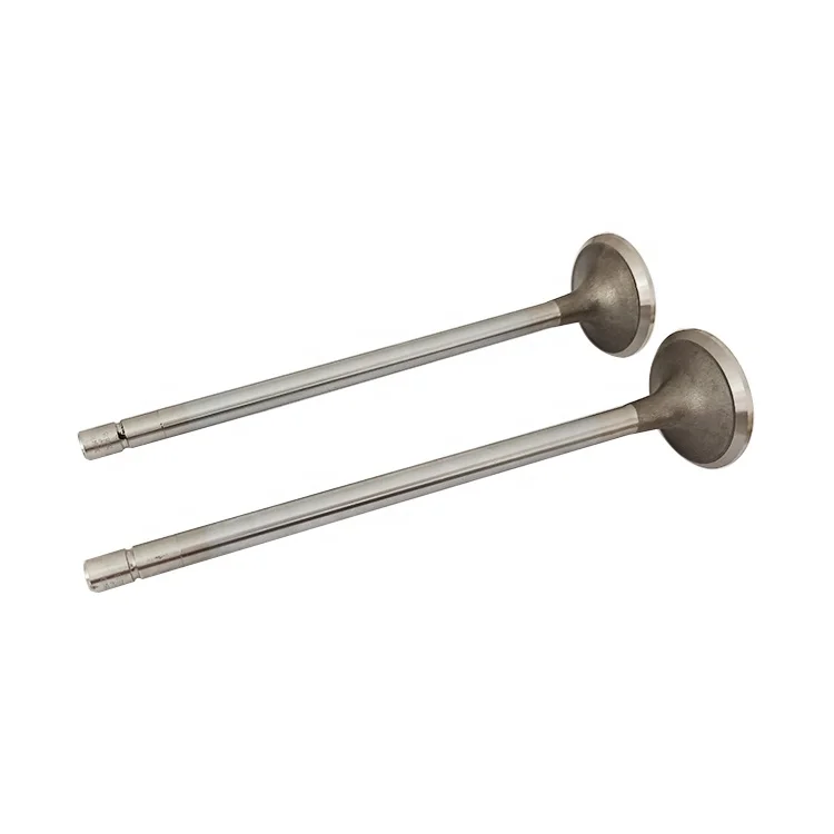 Construction Machinery Heavy Vehicle Engine N14 Exhaust Valve 3800891 3166410