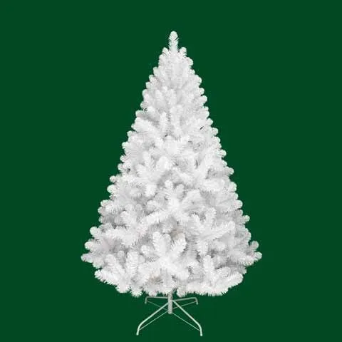 4-7 foot white pencil pine Christmas tree and Shimmering white mountain spruce hinge Christmas tree flocking