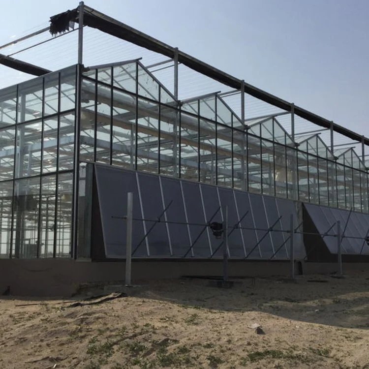 Modern venlo Polycarbonate Glass farming greenhouse Multi-Span Commercial pc sheet Greenhouses Prefab green house overall system