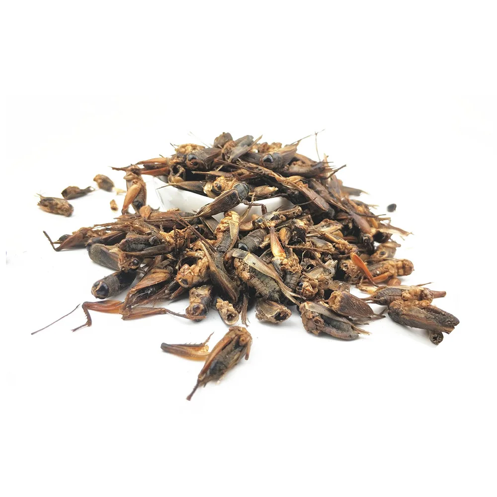 
factory private label natural high quality pet food Dried Crickets for reptiles fish bird food 