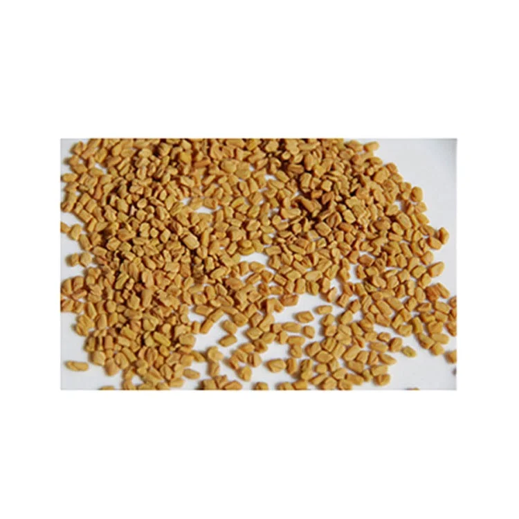 Exclusive Sale Globally Famous Sortex Cleaned Natural Fenugreek Seeds at Wholesale Price